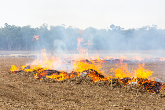 Fires burning in stubble on a country property