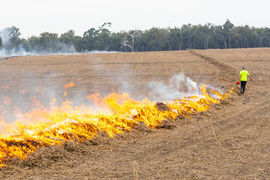 Burning windrows in a dry paddock