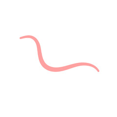 Pinworm parasite icon