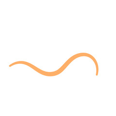 Pinworm parasite icon