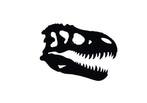 Dinosaur skull silhouette. This image shows a black silhouette of a dinosaur skull with sharp teeth and detailed bone structure, representing prehistoric fossils. Vector clipart illustration design.