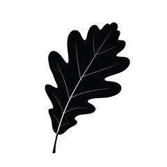Oak leaf silhouette. This image shows a black silhouette of an oak leaf, also referred to as Quercus leaf, showcasing its lobed texture and jagged edges. Vector clipart illustration design.