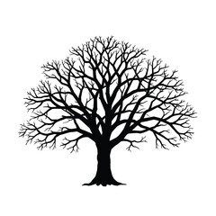 Oak tree silhouette no leaves. This image shows a detailed silhouette of an oak tree without leaves, emphasizing its stark and natural elegance. Vector clipart illustration design.