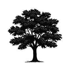 Fototapeta premium Oak tree silhouette. This image shows a detailed silhouette of an oak tree with dense foliage and a sturdy trunk, emphasizing its natural elegance. Vector clipart illustration design.