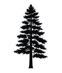 Ponderosa pine silhouette. This image shows the silhouette of a ponderosa pine tree, known for its towering stature and evergreen foliage. Vector clipart illustration design.