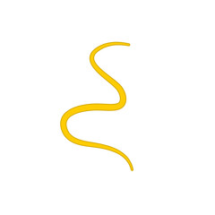 Ascaris parasitic worm vector