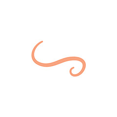 Ascaris parasitic worm vector