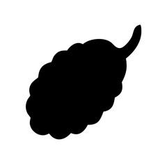 Mulberry Fruit Icon Vector Illustration