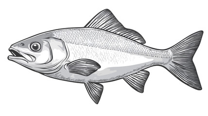 Obraz premium This image presents a detailed monochrome illustration of a fish, rendered in grayscale. The style is reminiscent of a scientific or biological illustration