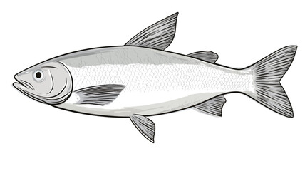 A grayscale illustration depicting a fish in profile view. The rendering style is simplistic, utilizing subtle shading to suggest form and volume without intricate detail
