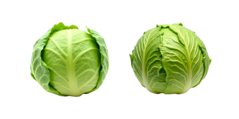 Cannonball cabbage set isolated on white background