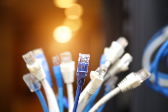 A lot of LAN internet network cable or RJ45 UTP Cat6 fiber optic Ethernet cables for cloud computing computer data link file transfer or wifi connect server networking devices technology system. - Powered by Adobe