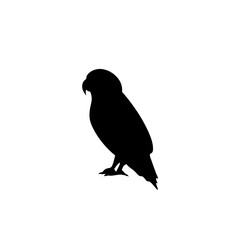 Parrot bird silhouette vector 