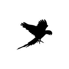 Parrot bird silhouette vector 