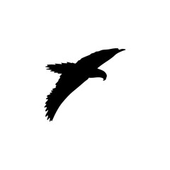 Parrot bird silhouette vector 