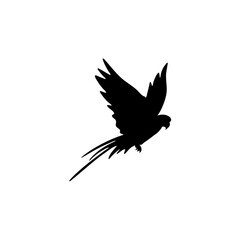 Obraz premium Parrot bird silhouette vector 