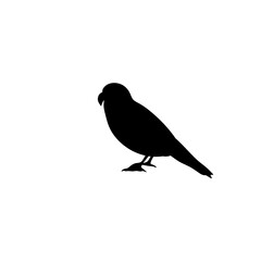 Parrot bird silhouette vector 