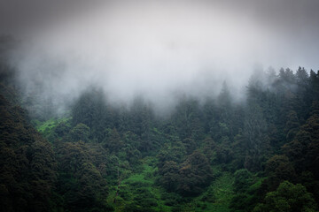 Beautiful mountain landscape of Thamsar pass trek in Rajgundha village in Barot valley.  It is...