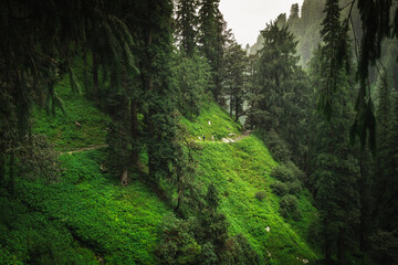 Beautiful mountain valley landscape of Thamsar pass trek in Barot valley in Himachal Praedsh,...