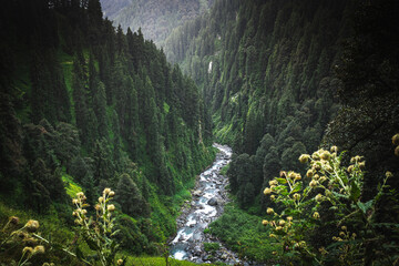 Obraz premium Beautiful mountain valley landscape of Thamsar pass trek in Barot valley in Himachal Praedsh, India. Treks in India