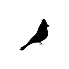 Cardinal bird silhouette 