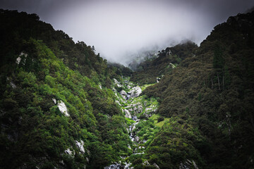 Beautiful landscape shot of a gorgeous Himalayan mountain valley with dense forests during monsoon season	