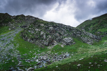 Beautiful landscape shot of a gorgeous Thamsar pass Himalayan mountain valley with dense forests...