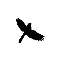 Cardinal bird silhouette 