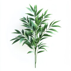 Fototapeta premium Lush Green Bamboo Leaves on White Background for Natural Decor
