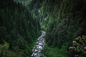 Beautiful landscape shot of a gorgeous Himalayan mountain valley with a glacial mountain river swiftly flowing in between the forest in India