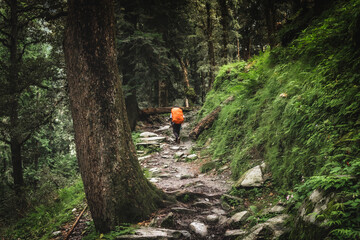 hiker with backpack stands on the trail in the Himalayas mountains. Green mountain forest in...