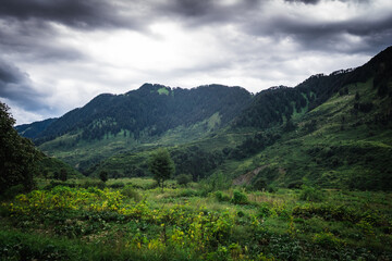 Fototapeta premium Shot of Landscape of Barot valley in Himachal Pradesh. It is known for its stunning natural beauty, Located on the banks of the Uhl River, famous for Trekking, camping, trout fishing and paragliding