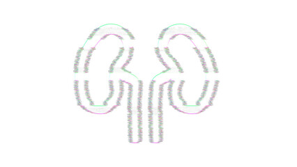 Icon kidneys is distorted. Glitch. Noise, chromatic aberration, geometric distortion