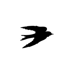 Swallow bird silhouette 