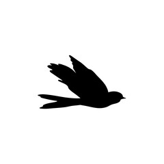 Swallow bird silhouette 
