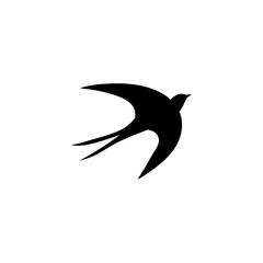 Swallow bird silhouette 