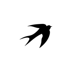 Swallow bird silhouette 