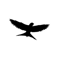 Swallow bird silhouette 