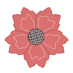 pink rose flower with white background 