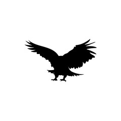 Eagle silhouette vector icon
