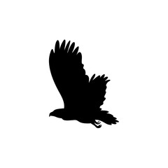 Eagle silhouette vector icon