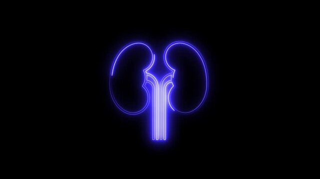 Glowing neon renal icon 4k  isolated on black background. HD Video motion graphic animation
