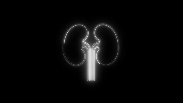 Glowing neon renal icon 4k  isolated on black background. HD Video motion graphic animation