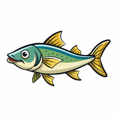 fish on a white background