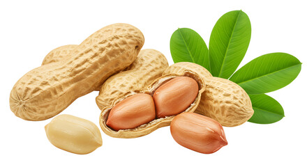Fresh peanuts in their shells with green leaves, showcasing a natural setting perfect for culinary or health-related uses