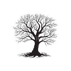 Silhouette tree without leaves