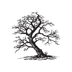 Silhouette tree without leaves