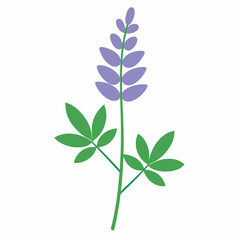 green plant isolated on white