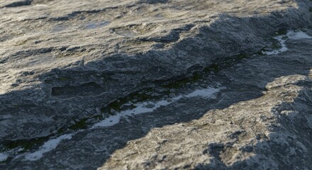 Obraz premium Detailed close up of textured gray rock surface with moss growth