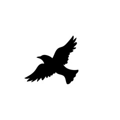 Flying bird silhouettes